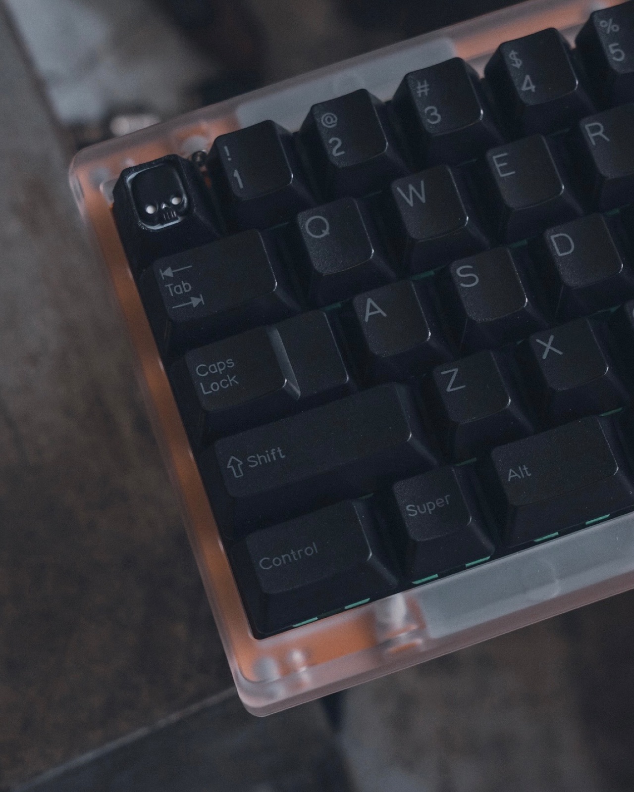 Manta — 2