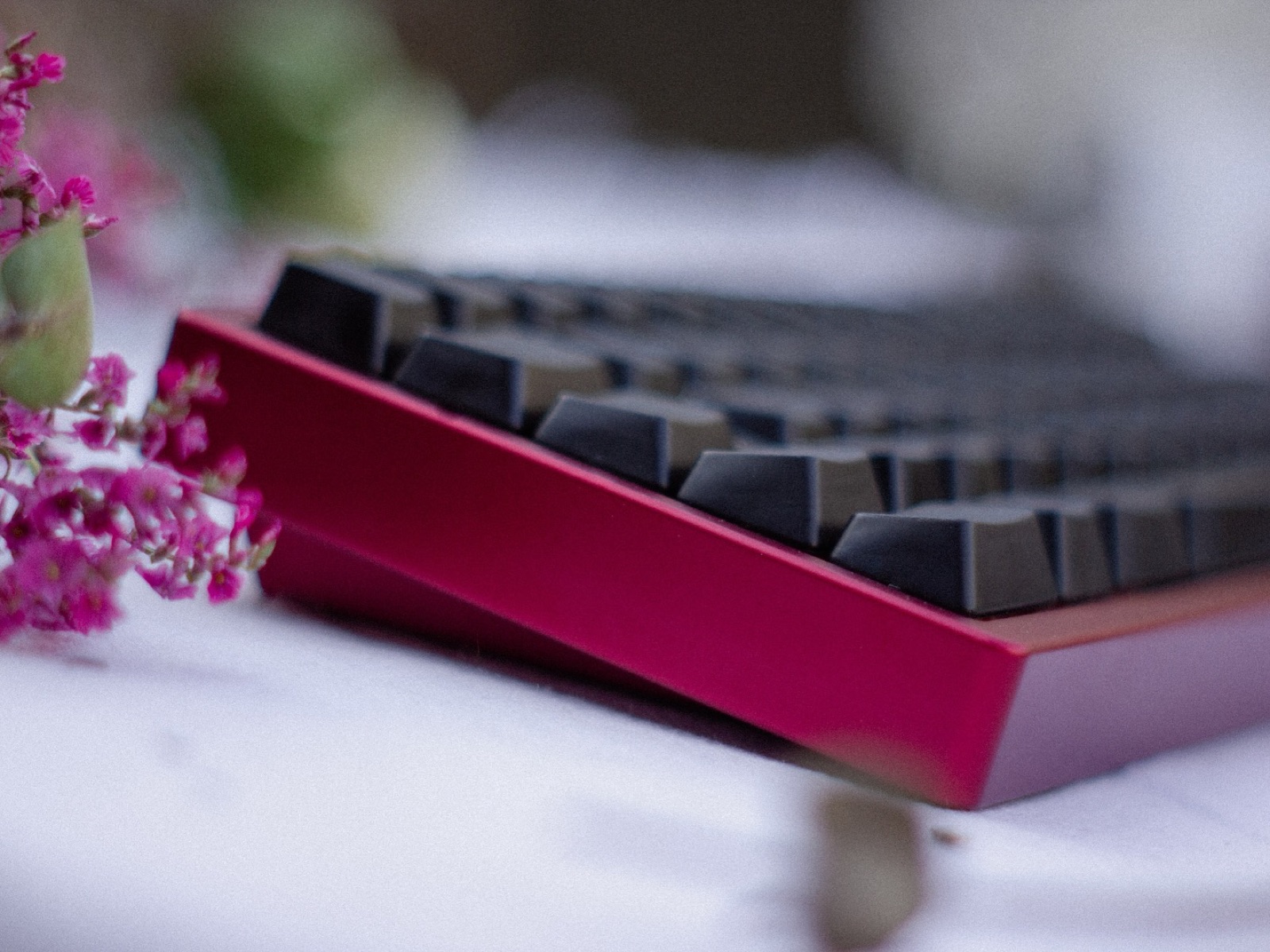 TGR x GSK 910 — 3