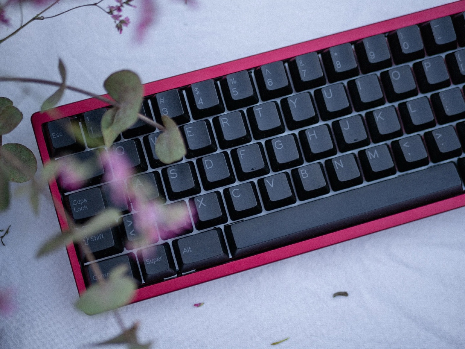 TGR x GSK 910 — 2