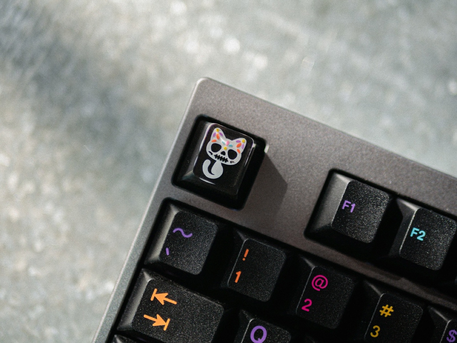 Gehirn TKL — 4